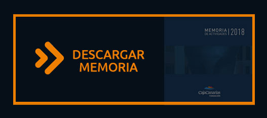 Descargar Memoria anual